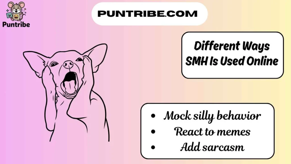 Different Ways SMH Is Used Online