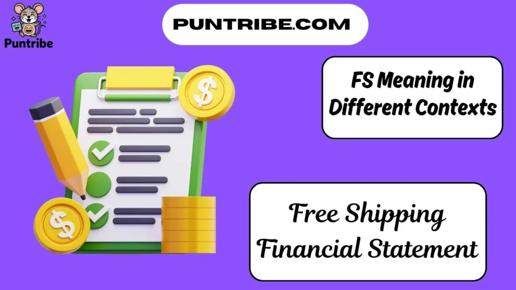 FS Meaning in Different Contexts