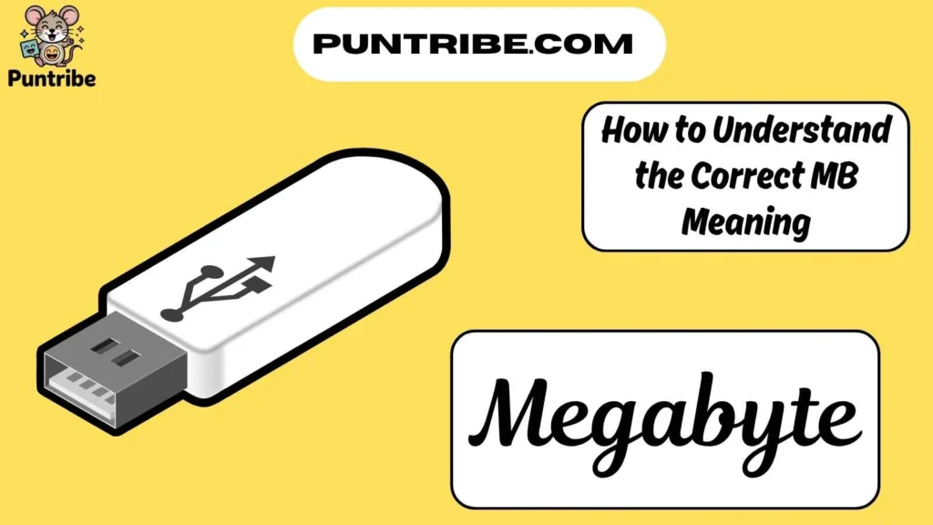 How to Understand the Correct MB Meaning