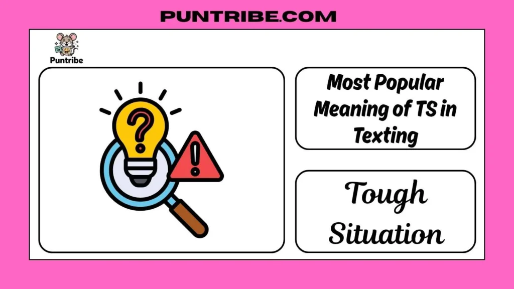 Most Popular Meaning of TS in Texting