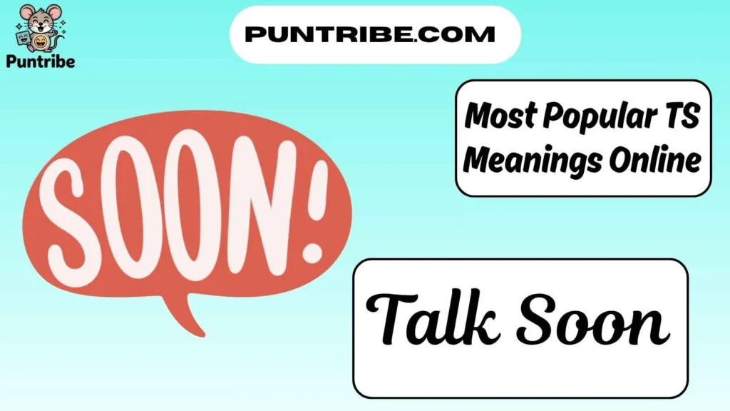 Most Popular TS Meanings Online
