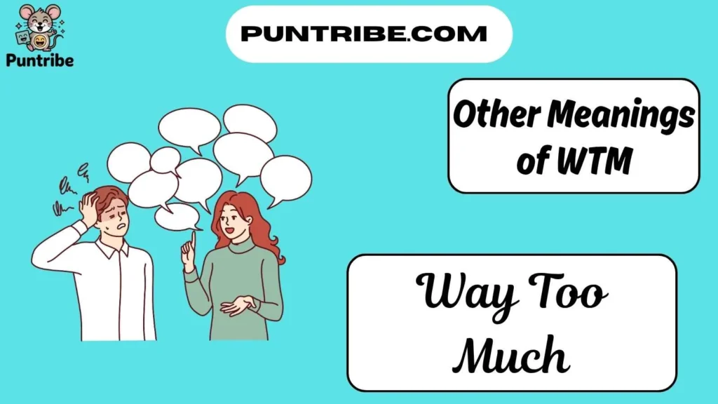 Other Meanings of WTM