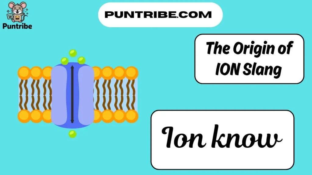 The Origin of ION Slang