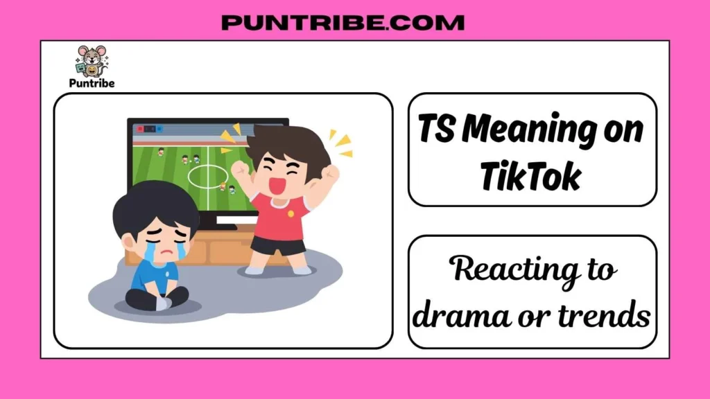 TS Meaning on TikTok