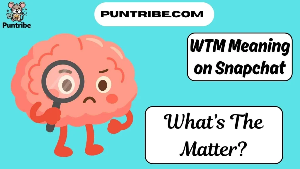 WTM Meaning on Snapchat