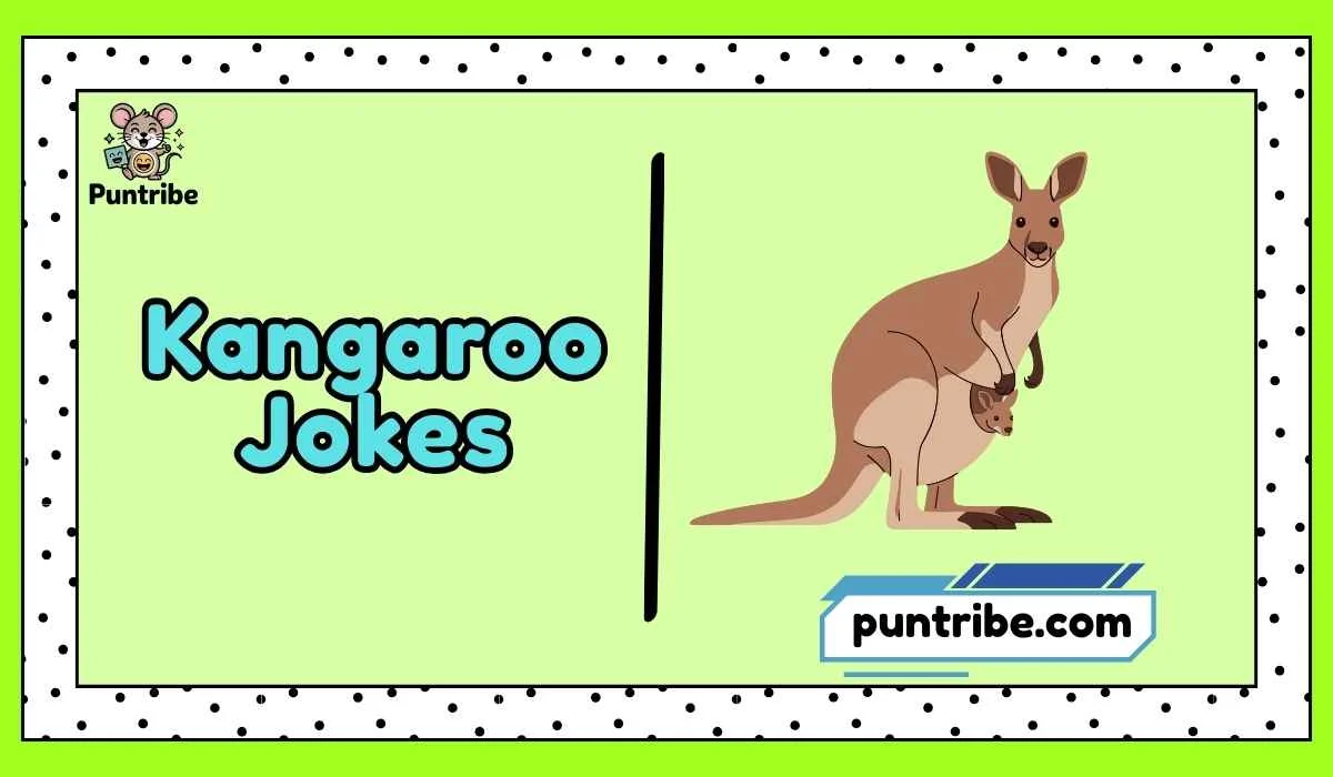 kangaroo-jokes