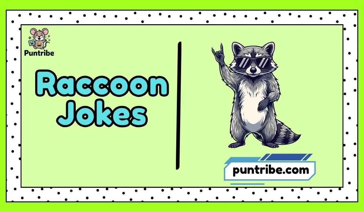 Raccoon Jokes