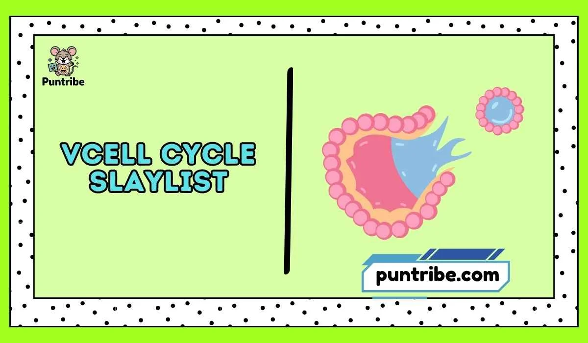Cell Cycle Slaylist
