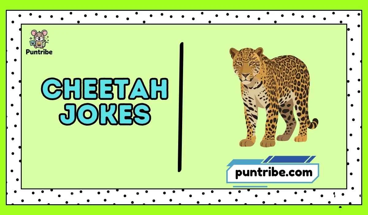 Cheetah Jokes