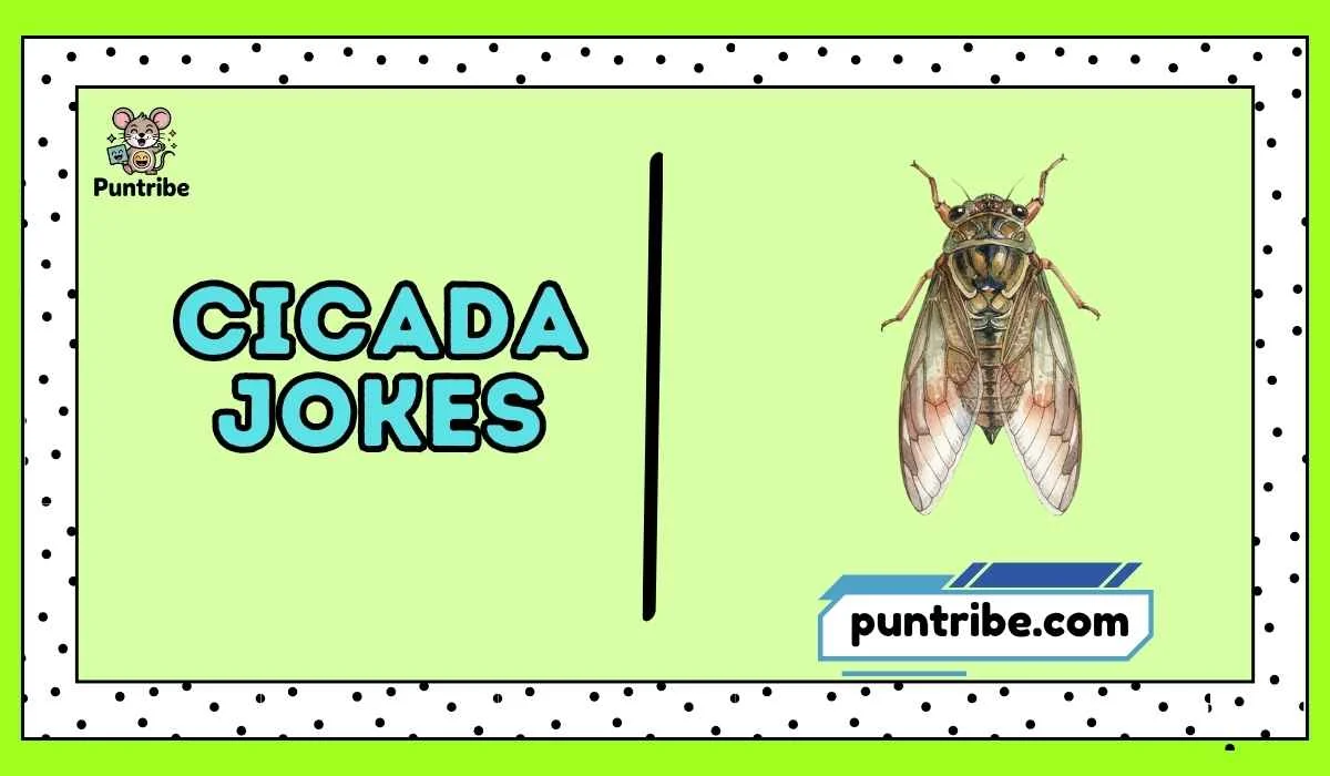 Cicada Jokes