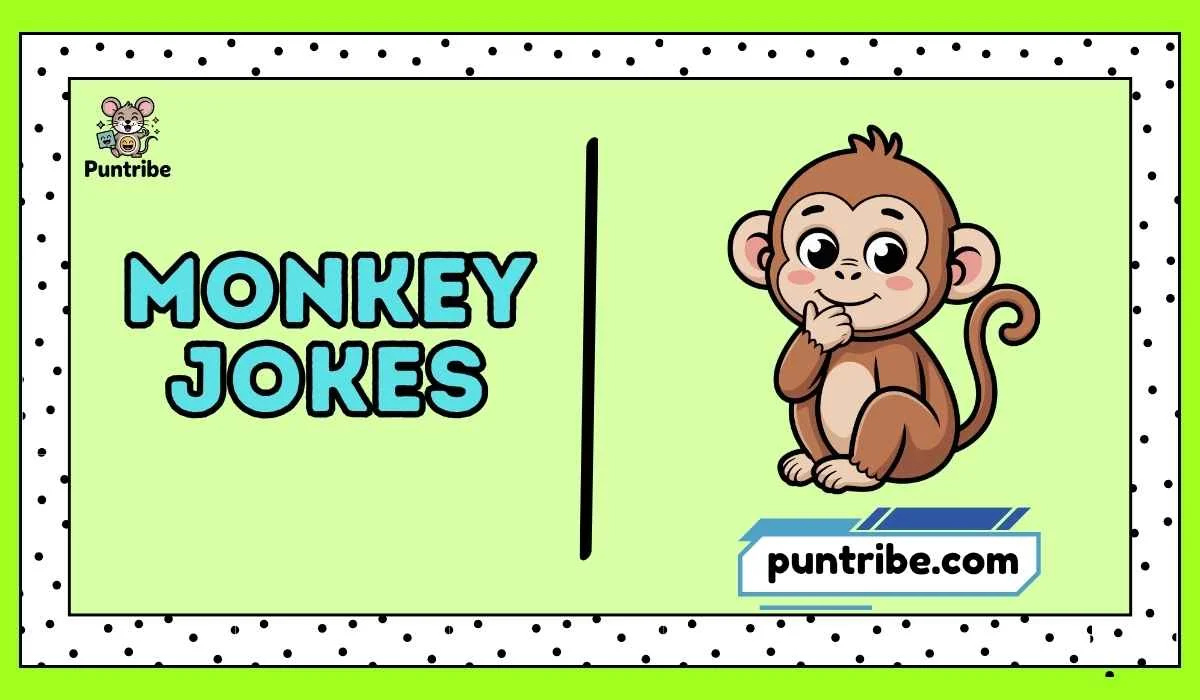 Monkey Jokes
