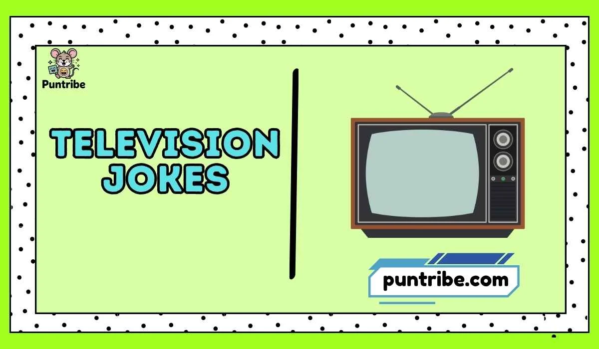 Television Jokes