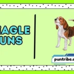 Beagle Puns
