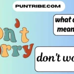 what does dw mean in text