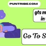 gts meaning in text