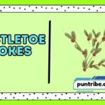 Mistletoe Jokes