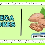 Pecan Jokes