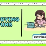 Studying Puns