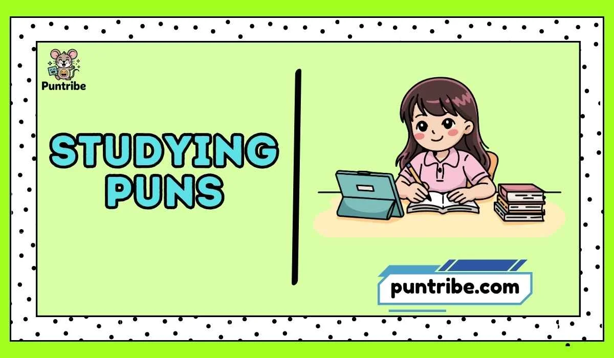 Studying Puns