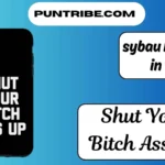 sybau meaning in text