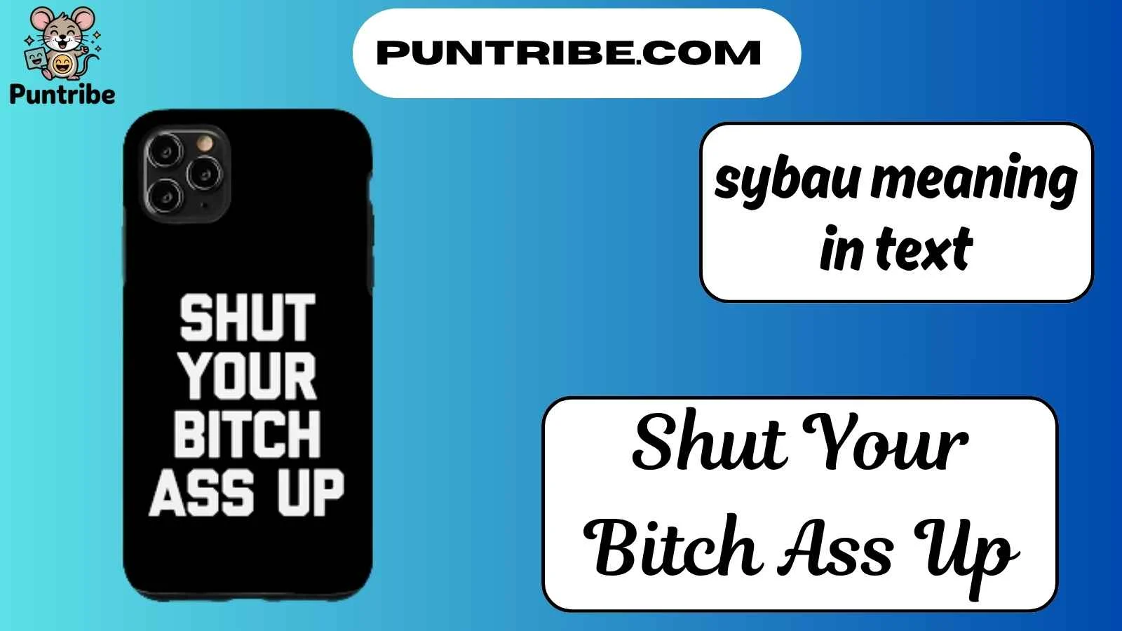 sybau meaning in text