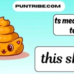 ts meaning in text