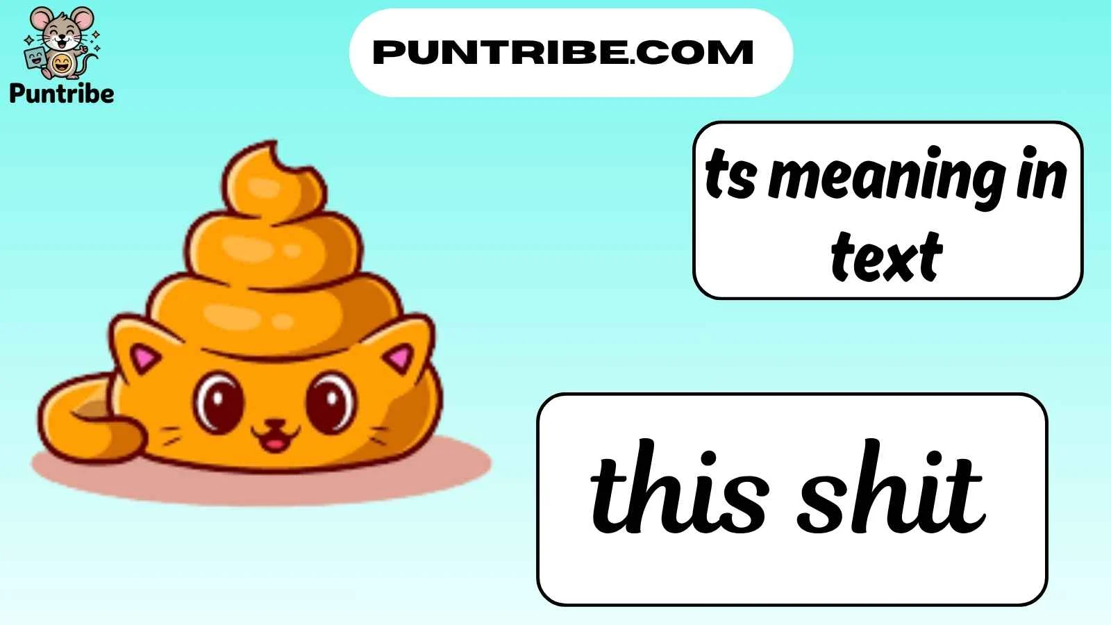 ts meaning in text