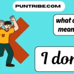 what does ion mean in text