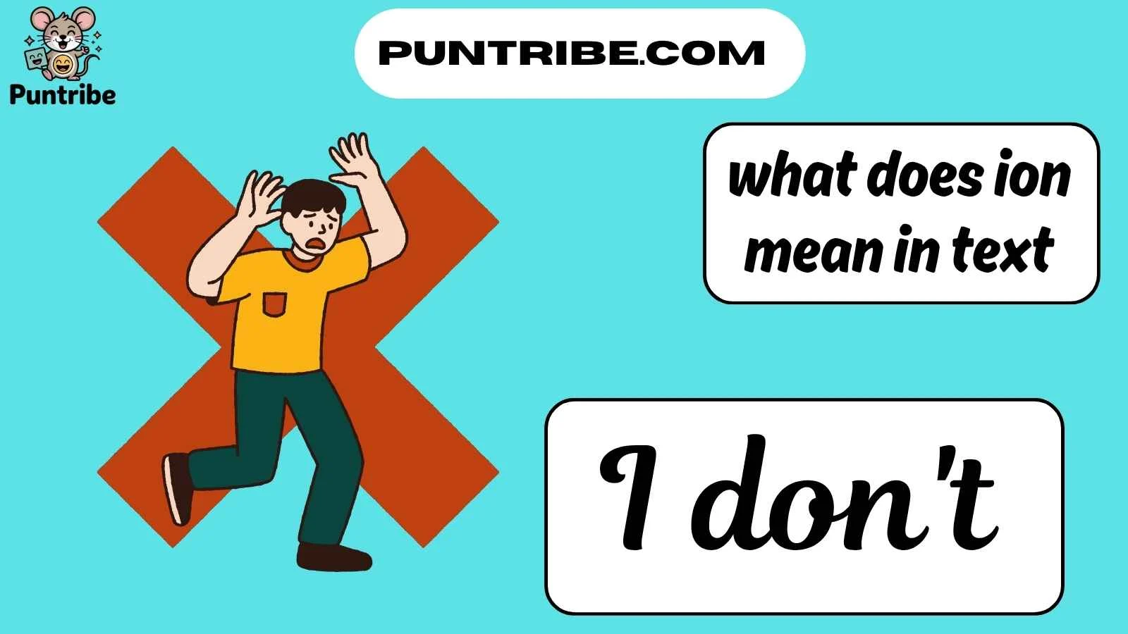 what does ion mean in text