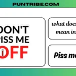 what does pmo mean in text