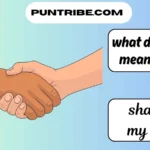 what does smh mean in text