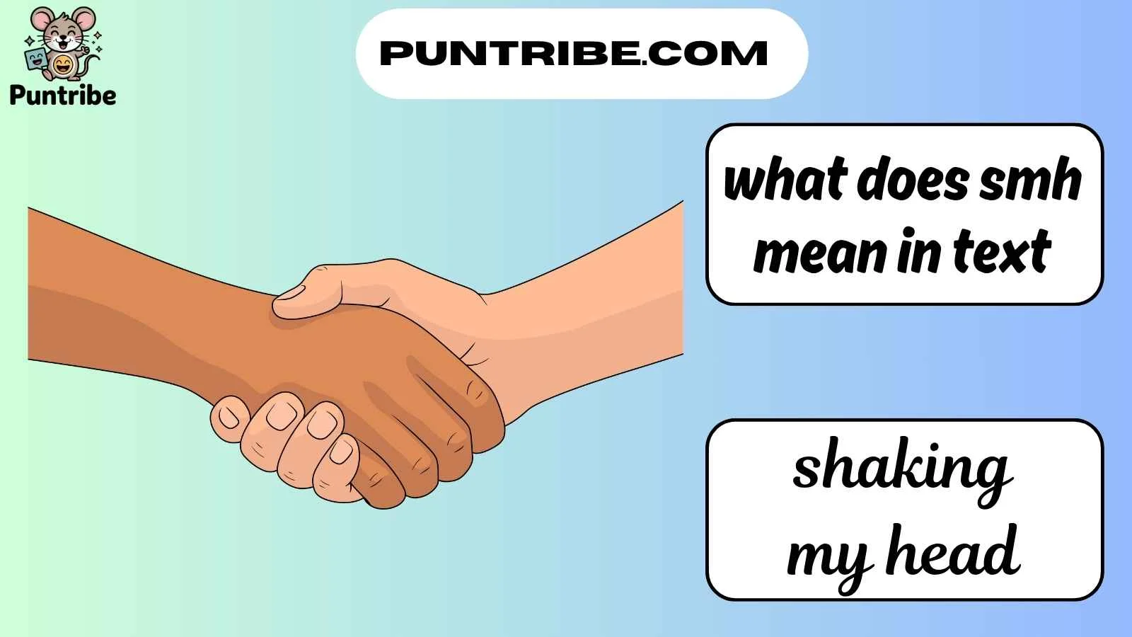 what does smh mean in text