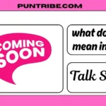 what does ts mean in text
