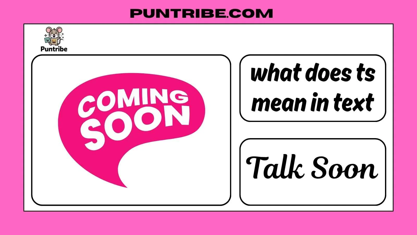 what does ts mean in text