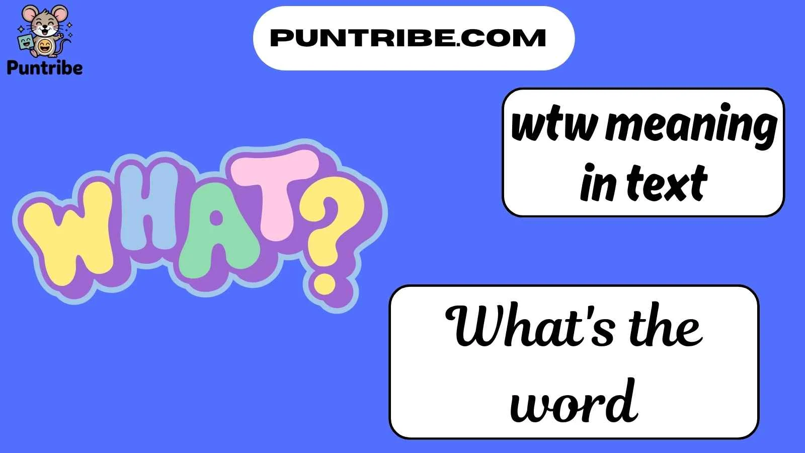 wtw meaning in text