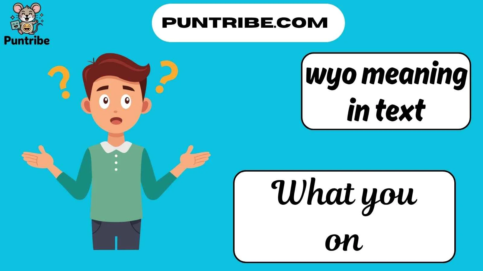 wyo meaning in text