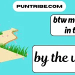 btw meaning in text