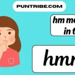 hm meaning in text