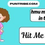 hmu meaning in text