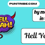 hy meaning in text