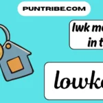 lwk meaning in text