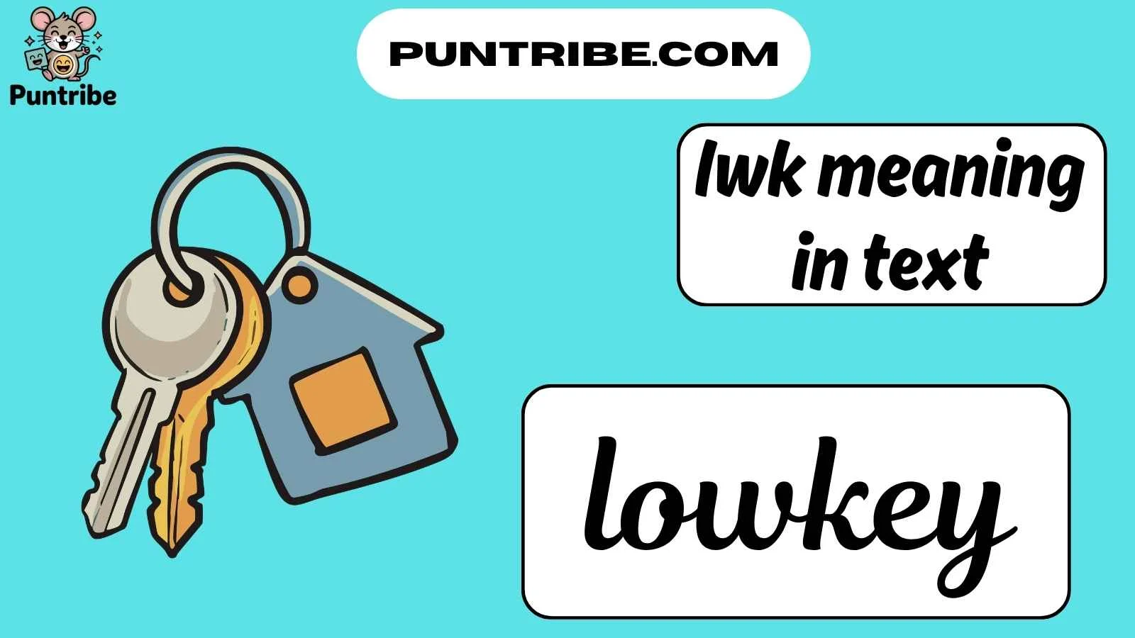 lwk meaning in text