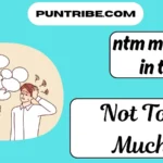 ntm meaning in text