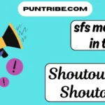 sfs meaning in text