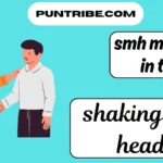 smh meaning in text