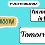 tm meaning in text