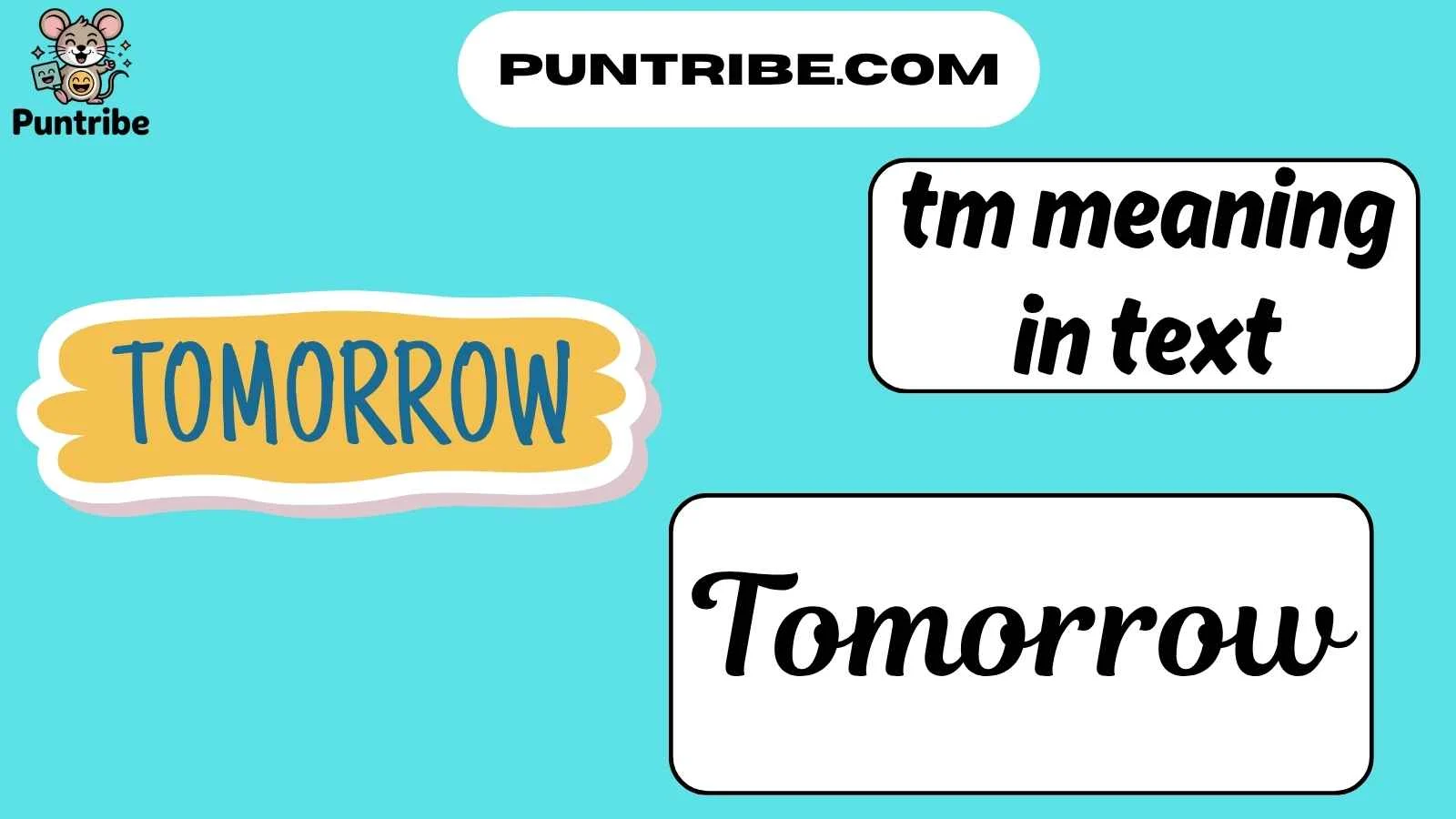 tm meaning in text