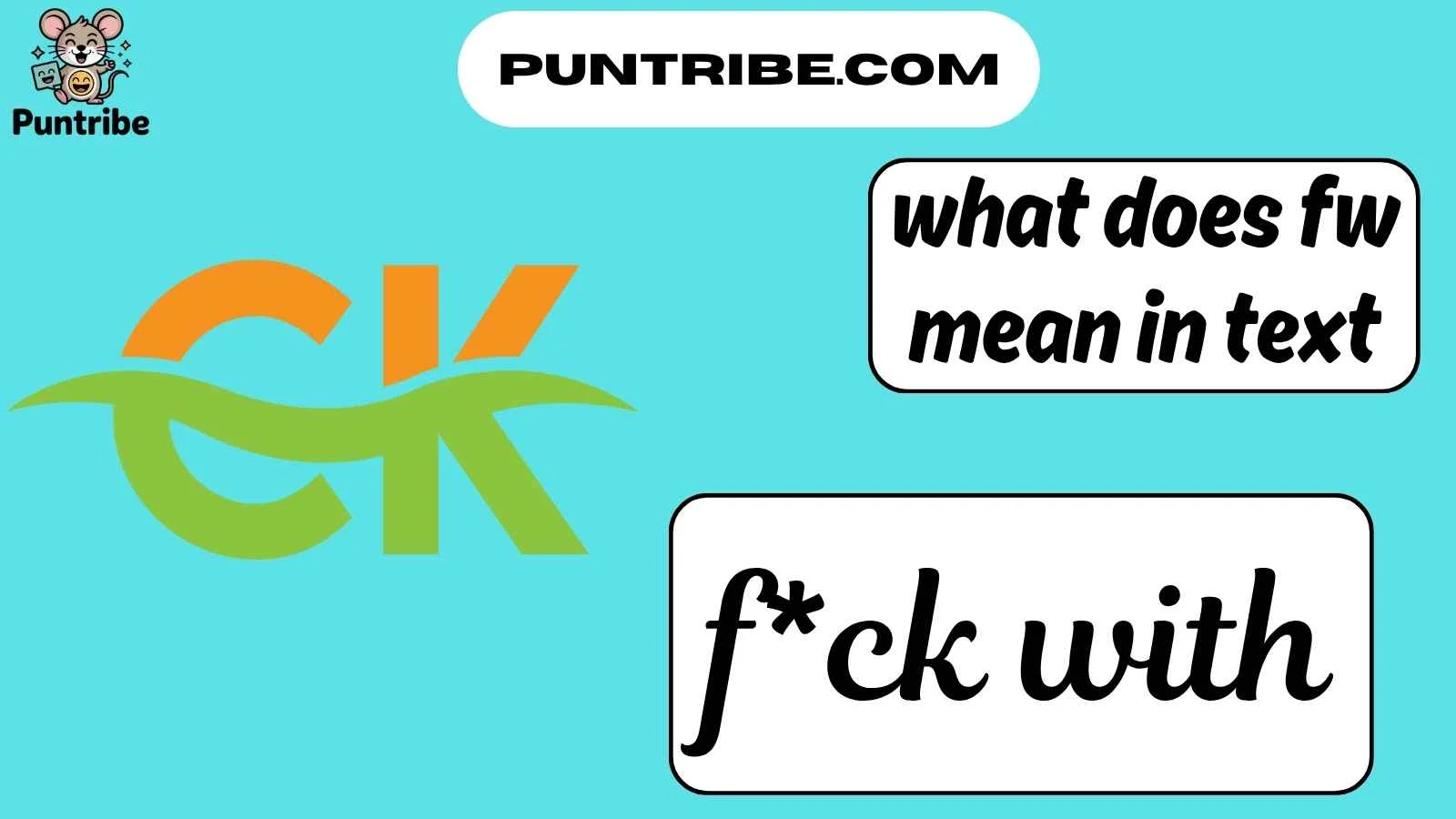 what does fw mean in text