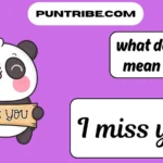 what does imy mean in text