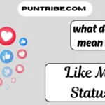 what does lms mean in text